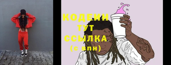 прущие грибы Богородск