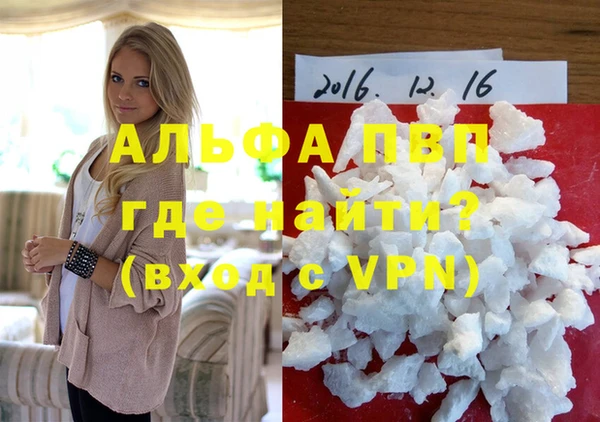 прущие грибы Богородск