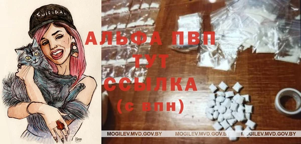 прущие грибы Богородск