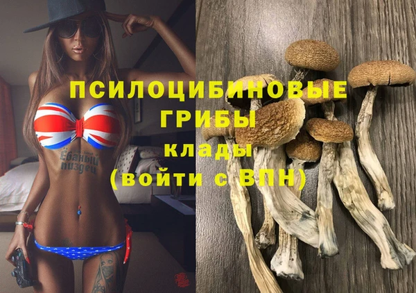 твердый Семилуки