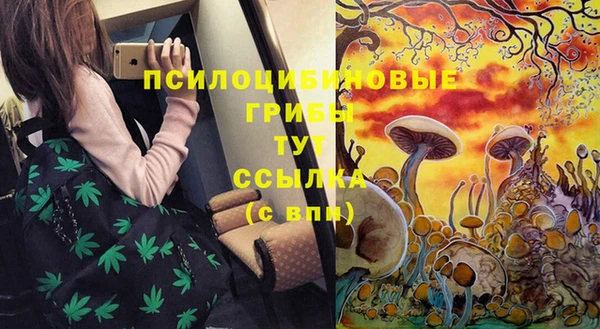 кристаллы Богородицк
