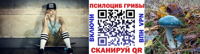 гидра ссылка  Нолинск  Псилоцибиновые грибы мицелий 